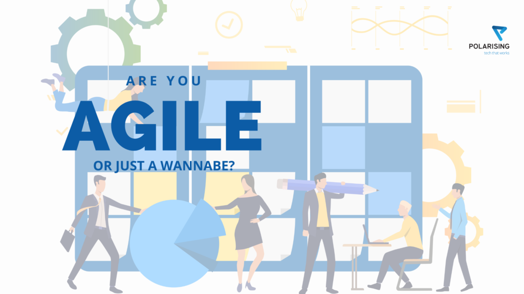 Agile Methodology, Project Management